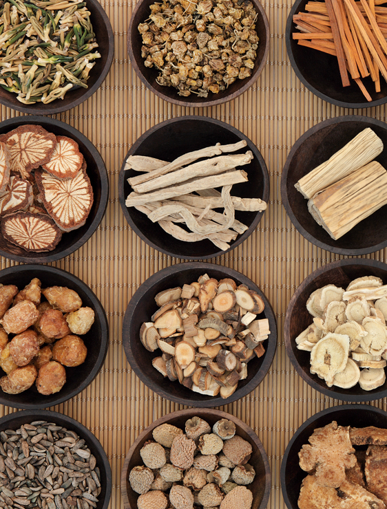 chinese-herbal-medicine-in-chicago